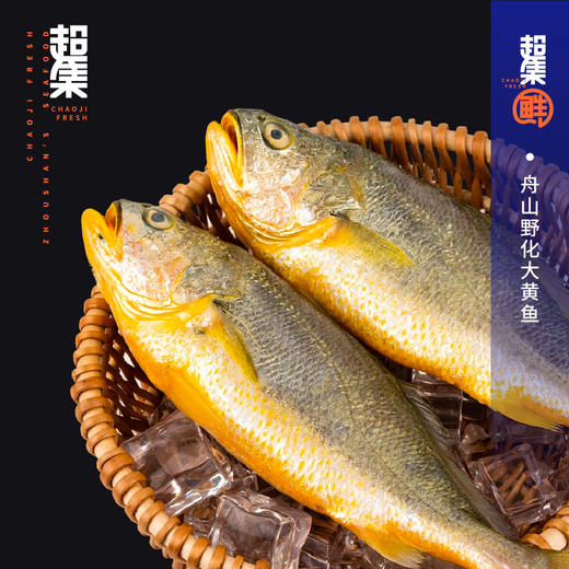 （发卡券）超集鲜舟山大黄鱼礼盒1588型礼品卡3000g 商品图1