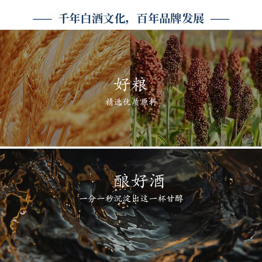 【浓香型】杜康经典500ml 【杜康复古香10 】52度 商品图4