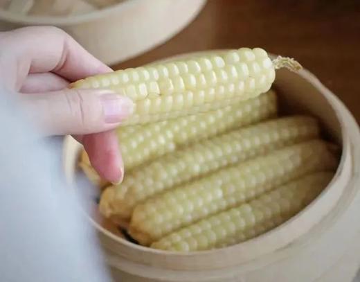 云南拇指小玉米2斤 商品图1