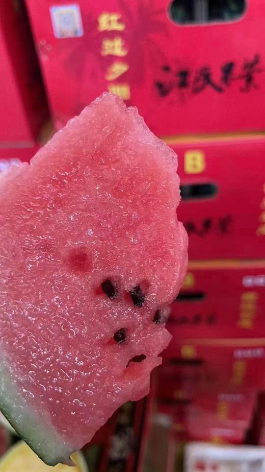 江氏黑籽麒麟瓜ppp 商品图5