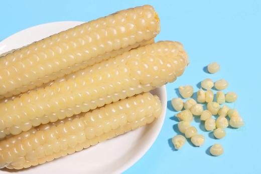 云南拇指小玉米2斤 商品图0