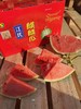 江氏黑籽麒麟瓜ppp 商品缩略图4