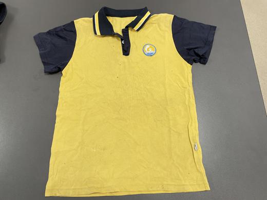 佛山市南海区狮山镇新城小学 商品图0