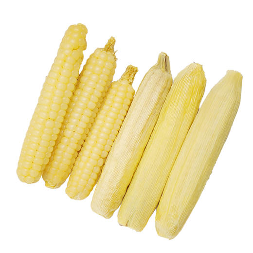 西双版纳傣家拇指糯玉米 商品图7