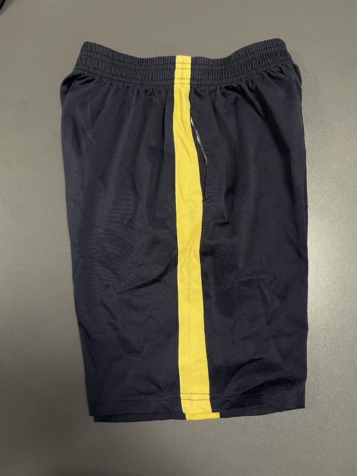 佛山市南海区狮山镇新城小学 商品图1