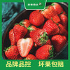PAGODA百果园  A级-红宝玉草莓（大）2 斤彩箱装 商品缩略图3