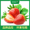 PAGODA百果园  A级-红宝玉草莓（大）2 斤彩箱装 商品缩略图4
