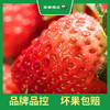 PAGODA百果园  A级-红宝玉草莓（大）2 斤彩箱装 商品缩略图1