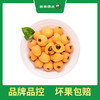 PAGODA百果园 云南蒙自枇杷（中）5斤彩箱装 商品缩略图0