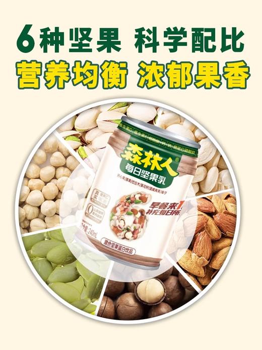 森林人每日坚果乳240ml*12罐 商品图4