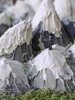 「雪山·微景观」订制展示 商品缩略图5