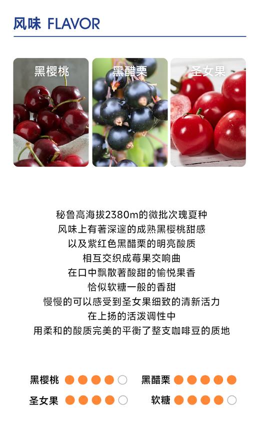 莱塔帕塔｜浆果爱好 高海拔生长 商品图2