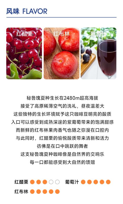 瓦帕瓦西｜微酸口感 葡萄汁质地 商品图2
