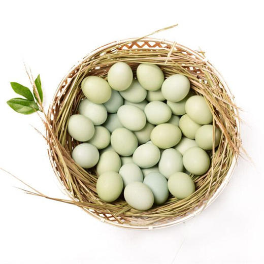 琼艺河南新鲜绿壳鸡蛋乌鸡蛋10枚装宝宝吃小鸡蛋约400克 商品图0