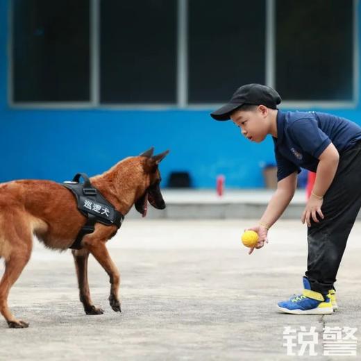 锐警周末研学 - 走进警营安全教育亲子活动（一日） 商品图0