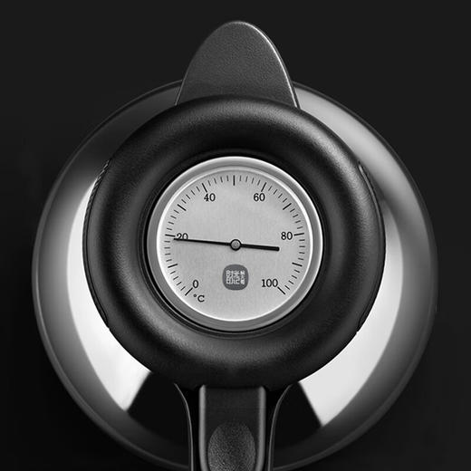 A-MDS-SG1800 焖大师 时光印记闷茶壶 商品图4