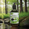 包邮 何首乌植物洗发露  500ml/瓶  | 瑶天香 商品缩略图1