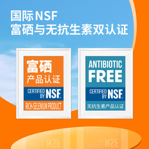 圣迪乐富硒鸡蛋30枚礼盒装 商品图4