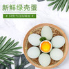 琼艺河南新鲜绿壳鸡蛋乌鸡蛋10枚装宝宝吃小鸡蛋约400克 商品缩略图2
