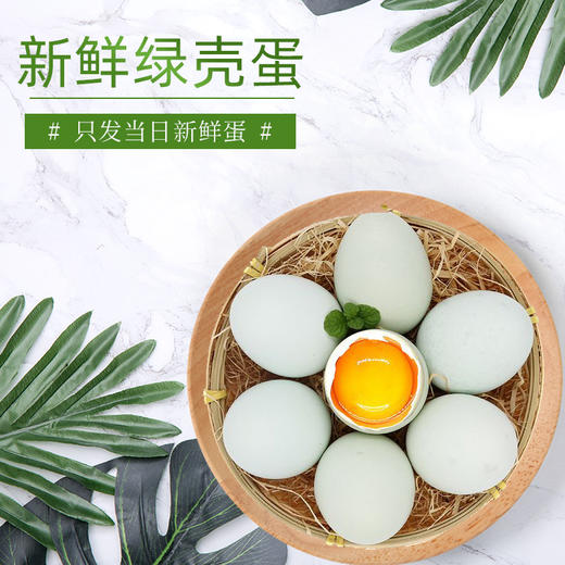琼艺河南新鲜绿壳鸡蛋乌鸡蛋10枚装宝宝吃小鸡蛋约400克 商品图2