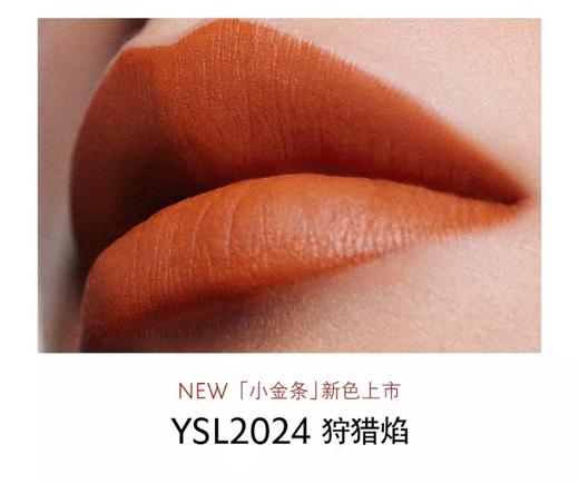 【门店直发】YSL圣罗兰小金条细管口红 1966#棕红/2024 商品图2
