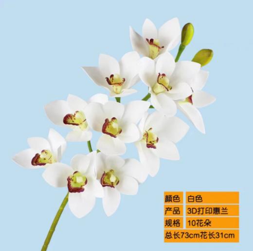 年宵花 高炸裂7D立体仿真蝴蝶兰--手感保湿绣球--高端天堂鸟-垂吊鸟-百合-红掌 商品图13