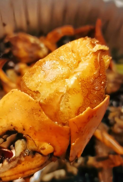 【印尼蟹（1斤/只）】 商品图1