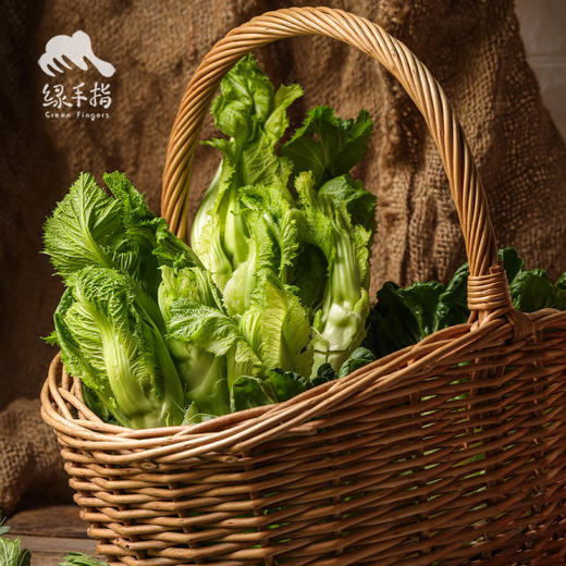 生态儿菜（抱子芥） | 绿家自产 * Eco-children food | In-House Production 商品图1