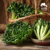 生态乌塌菜 | 绿家自产 * Eco-choy sum | Self-production 商品缩略图2