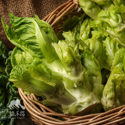 生态儿菜（抱子芥） | 绿家自产 * Eco-children food | In-House Production 商品图0
