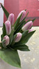 【国产郁金香】王朝粉 10枝/扎 商品缩略图1