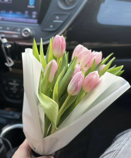 【国产郁金香】王朝粉 10枝/扎 商品图0