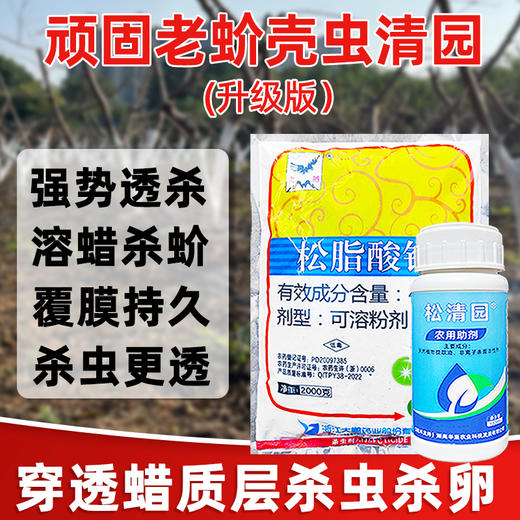 介壳虫清园专杀大鹏松脂酸钠松清园果树柑橘杨梅介壳虫矢尖蚧粉蚧 商品图2