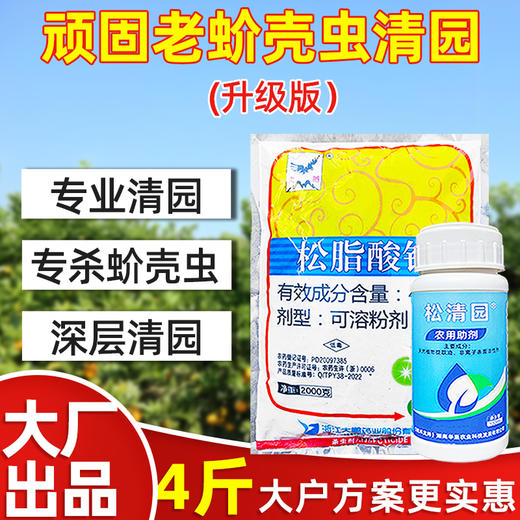 介壳虫清园专杀大鹏松脂酸钠松清园果树柑橘杨梅介壳虫矢尖蚧粉蚧 商品图0