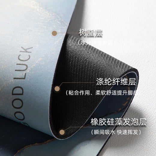 南柯一梦系列硅藻泥地垫浴室吸水脚垫防滑速干卫生间淋浴房门口垫子  40*60cm 商品图4