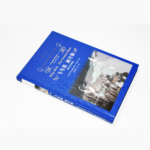 经典译林：飞鸟集 新月集 泰戈尔诗选 商品图4