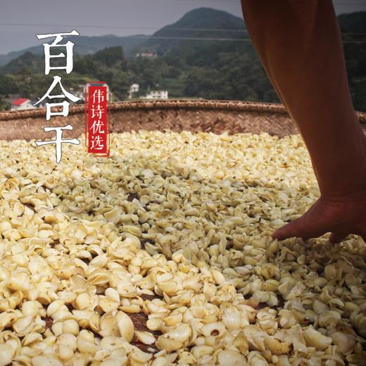 【百合干】500g 商品图4