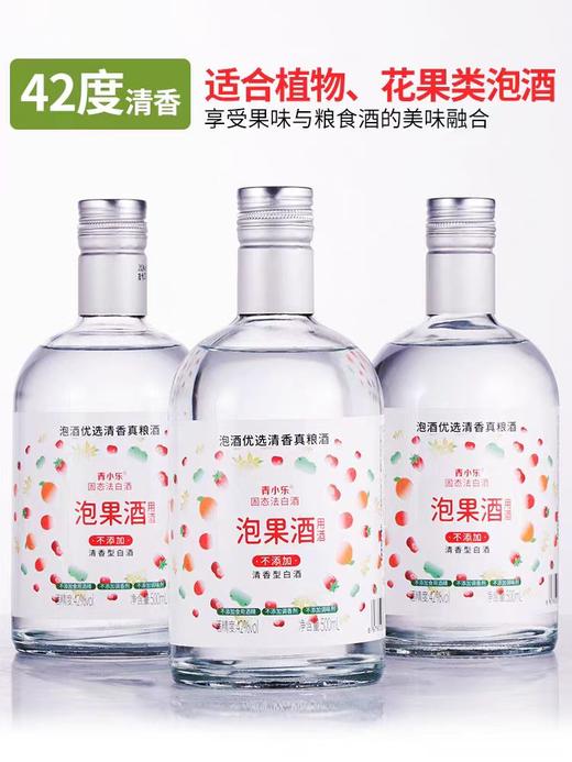 [泡果酒]42度-低度专用清香型白酒粮食酒浸泡青梅草莓石榴酒泡水果酒 商品图1