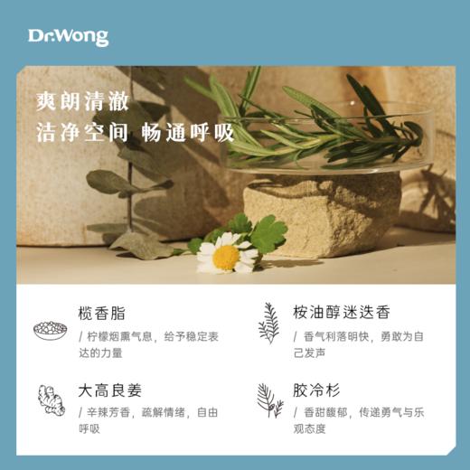 挼蓝C5 七色脉轮植物香薰精油 商品图1