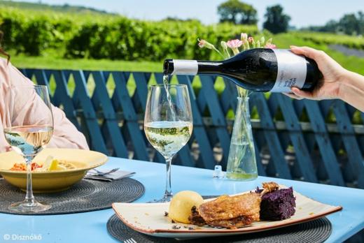 野猪岩灵感托卡伊干白葡萄酒2017年 DISZNOKO INSPIRATION 2017 商品图2