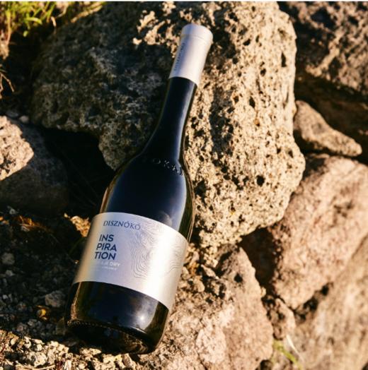 野猪岩灵感托卡伊干白葡萄酒2017年 DISZNOKO INSPIRATION 2017 商品图1