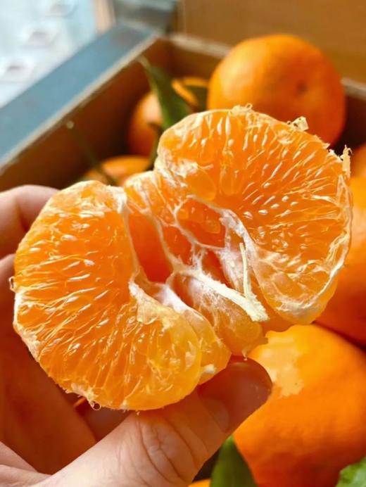 耙耙柑 1000g 商品图0