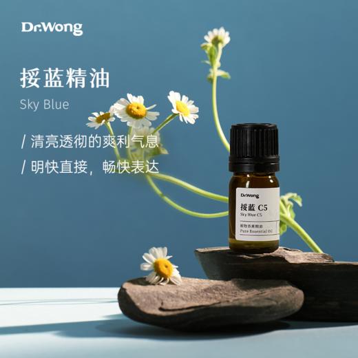 挼蓝C5 七色脉轮植物香薰精油 商品图0