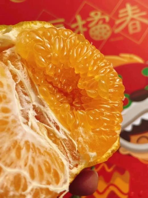 耙耙柑 1000g 商品图1