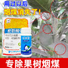 果树青苔烟煤专杀大鹏松脂酸松清园柑橘杨梅介壳蚧壳虫矢尖蚧粉蚧 商品缩略图3