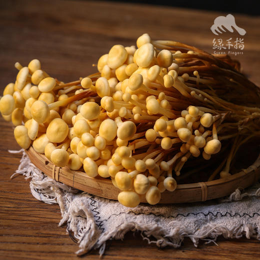 有机黄色金针菇 | 绿家自产 *ecological mushroom | Self-production 商品图4