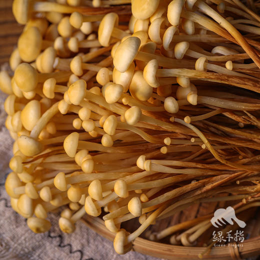 有机黄色金针菇 | 绿家自产 *ecological mushroom | Self-production 商品图3
