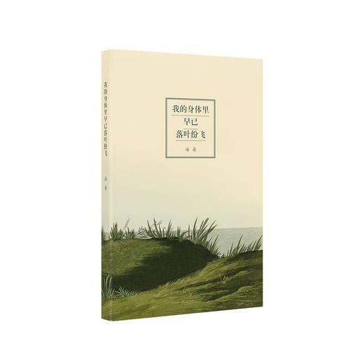 《我的身体里早已落叶纷飞》海桑诗集 读库出品 迷你袖珍口袋书 商品图1