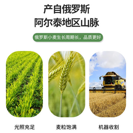 俄罗斯进口艾利客牌小麦粉2kg/袋 商品图4