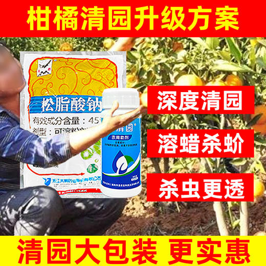 柑橘清园专用大鹏松脂酸钠松清园果树柑橘杨梅介壳虫矢尖蚧粉蚧 商品图4